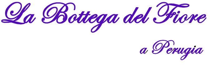 La bottega del fiore - Promutico Elisa